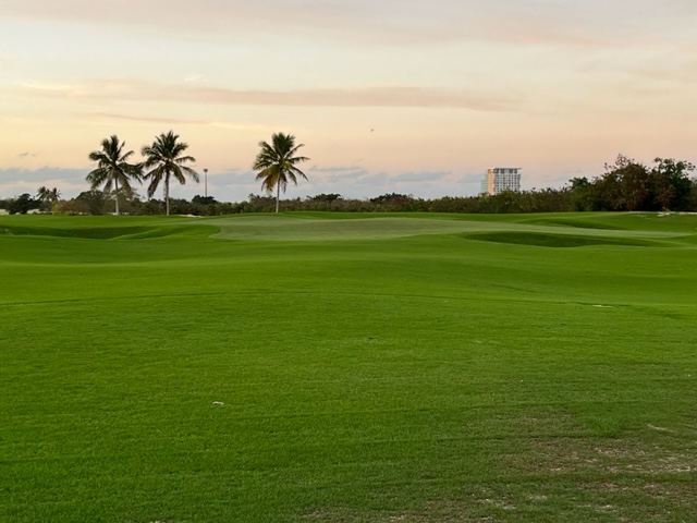 las-iguanas-golf-punta-cana-short-game-area-pure-dynasty-seeded-paspalum