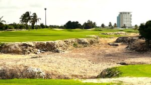 las-iguanas-golf-pure-dynasty-seeded-paspalum