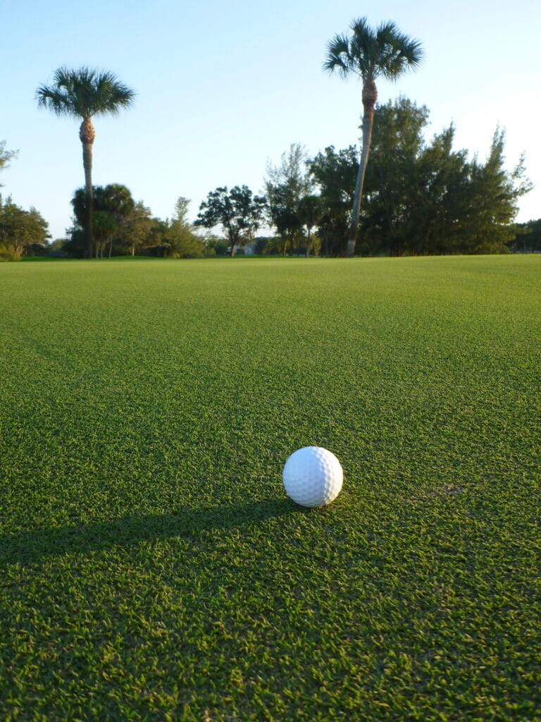 Ultradwarf Bermudagrass Greens - Past, Present, And Future - Atlas Turf